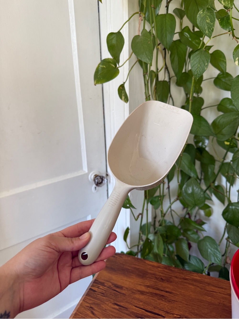 Neutral Cream Kitchen plastic Scoop - Durable Serving & Measuring Scoop